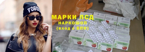 крисы Мегион