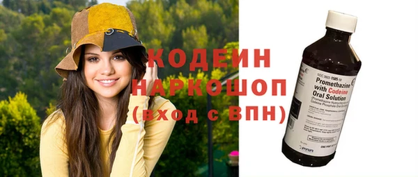 крисы Мегион