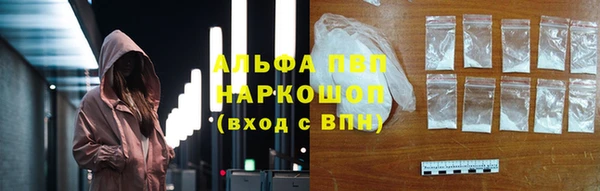 крисы Мегион