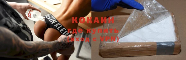 крисы Мегион
