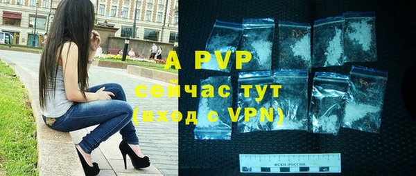 крисы Мегион