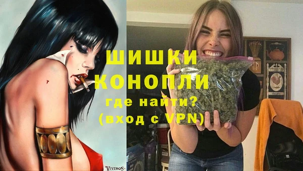 МДПВ Медногорск